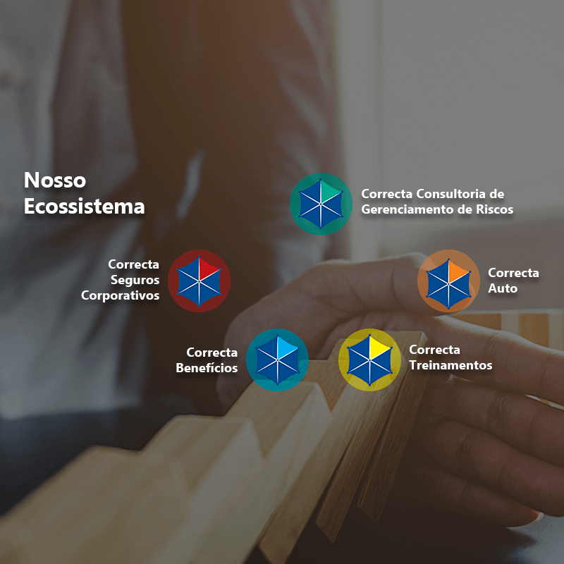 Nosso Ecossistema - Correcta