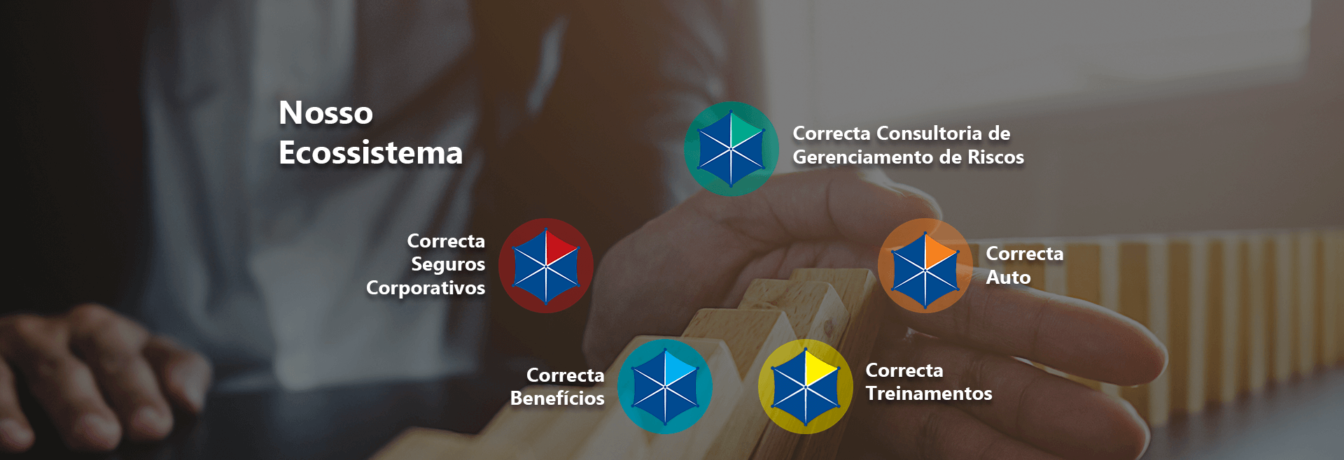 Nosso Ecossistema - Correcta